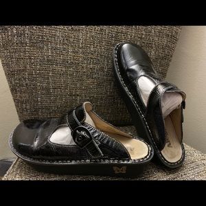 🐾Alegria slip on clogs